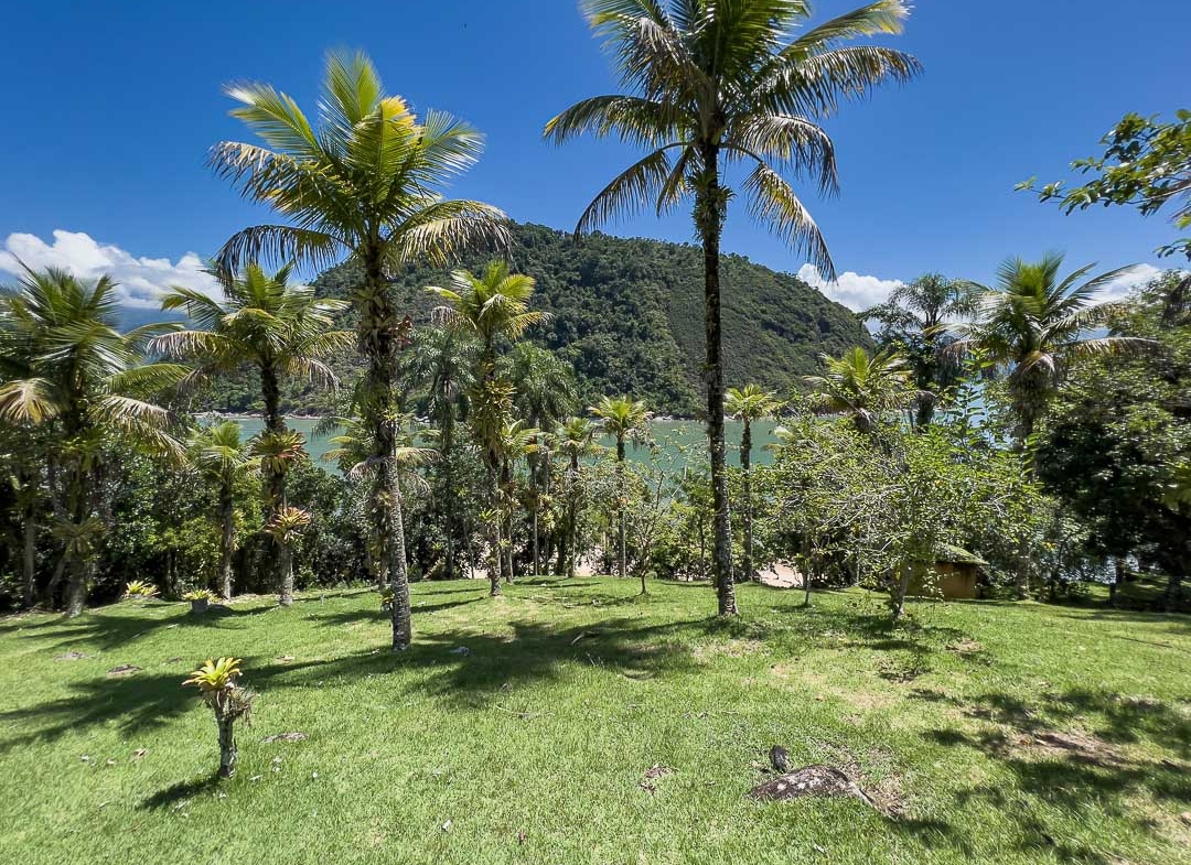 Área plana com potencial para heliponto em ilha à venda Paraty