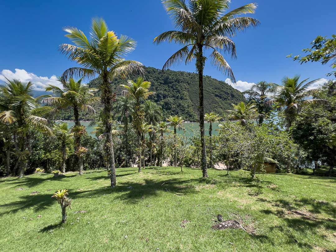 Área plana com potencial para heliponto em ilha à venda Paraty