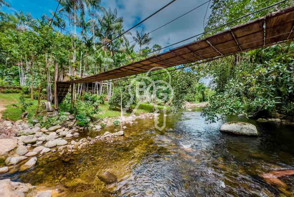 casa com nascente paraty natureza