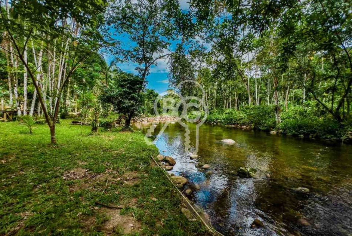 cachoeira dentro da propriedade paraty