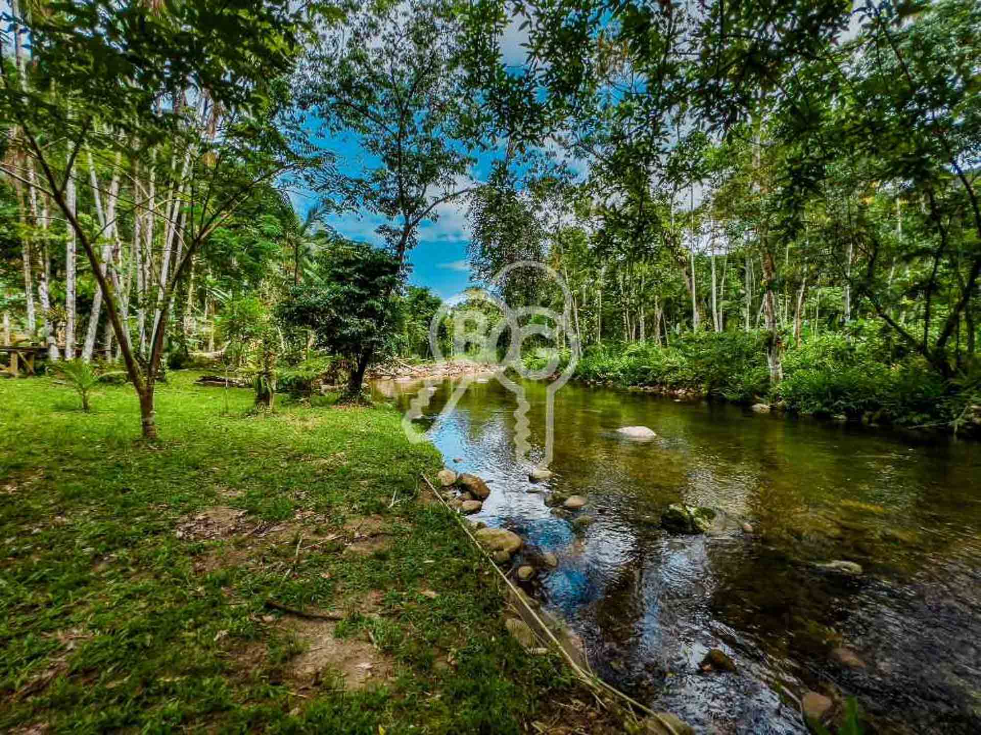 cachoeira dentro da propriedade paraty