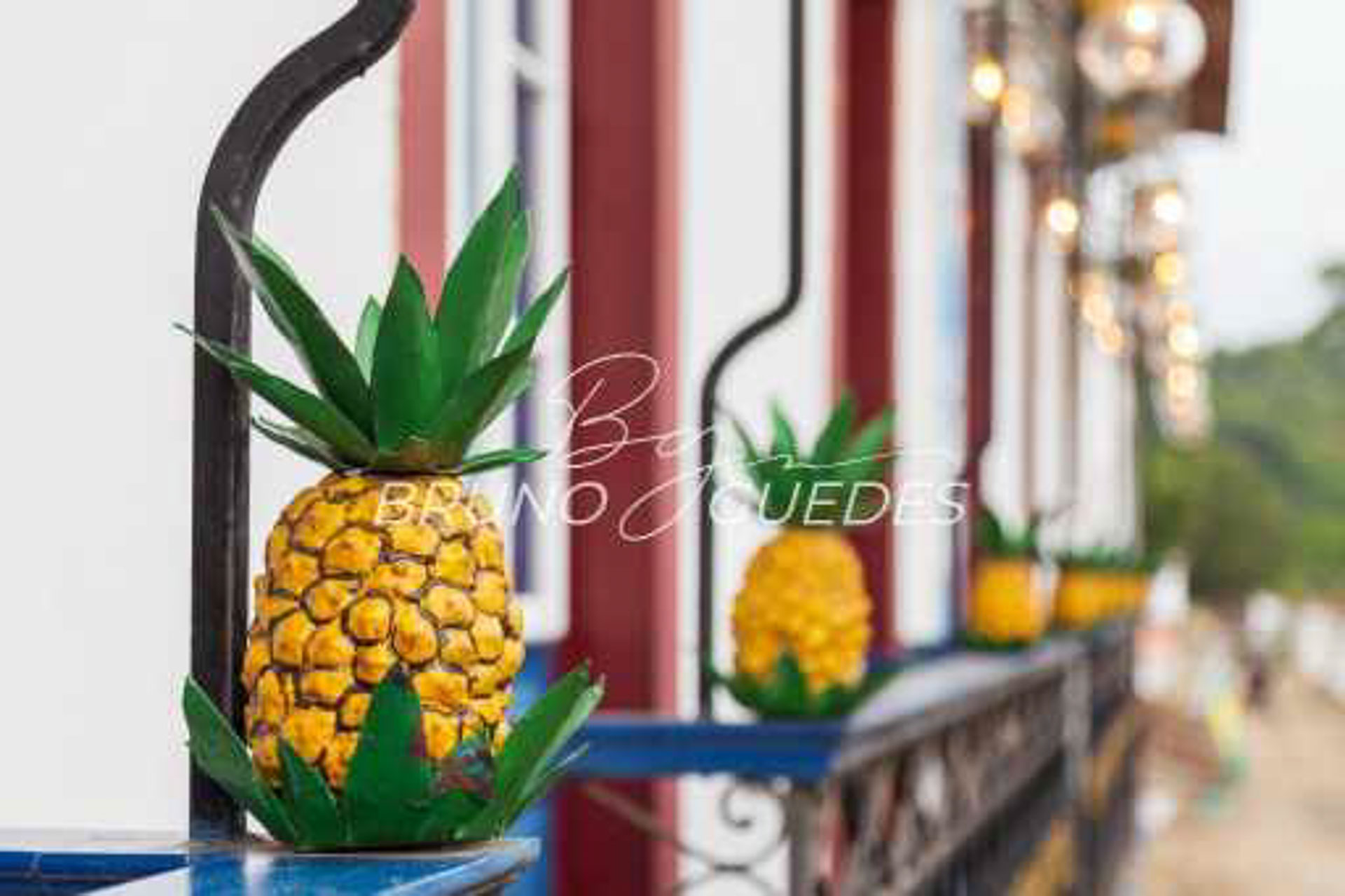 detalhes abacaxi fachada paraty
