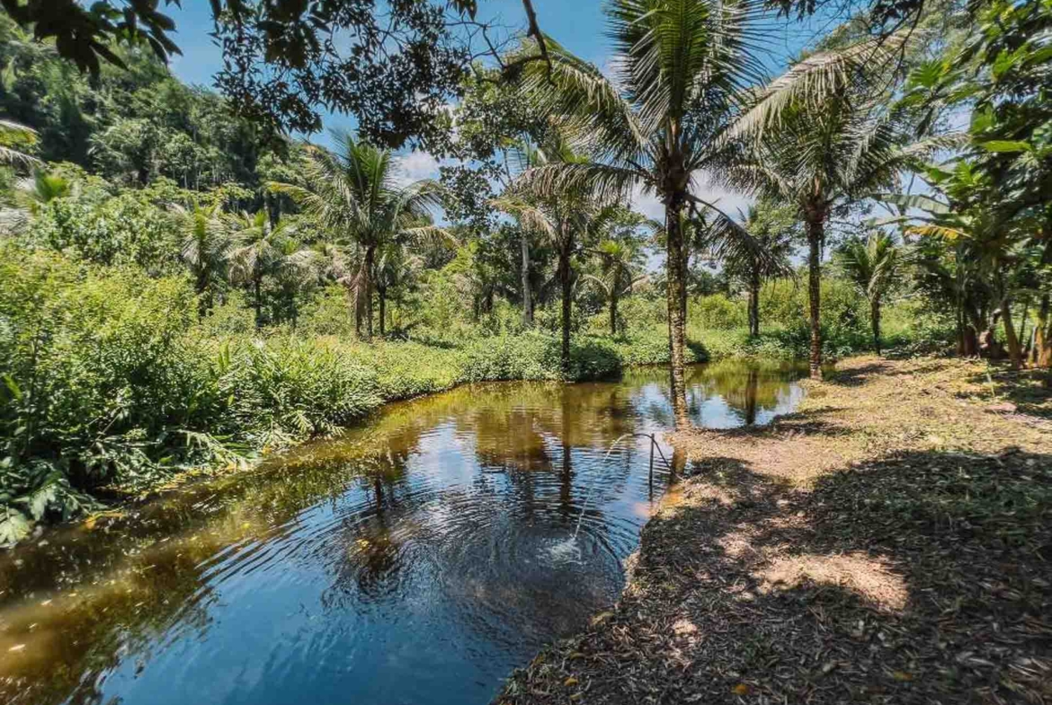 poço natural chácara barra grande