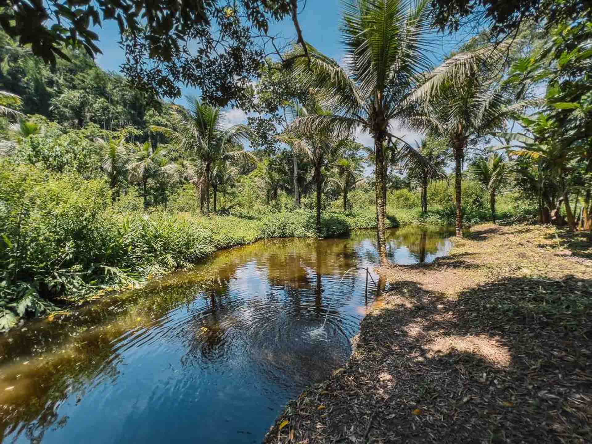 poço natural chácara barra grande