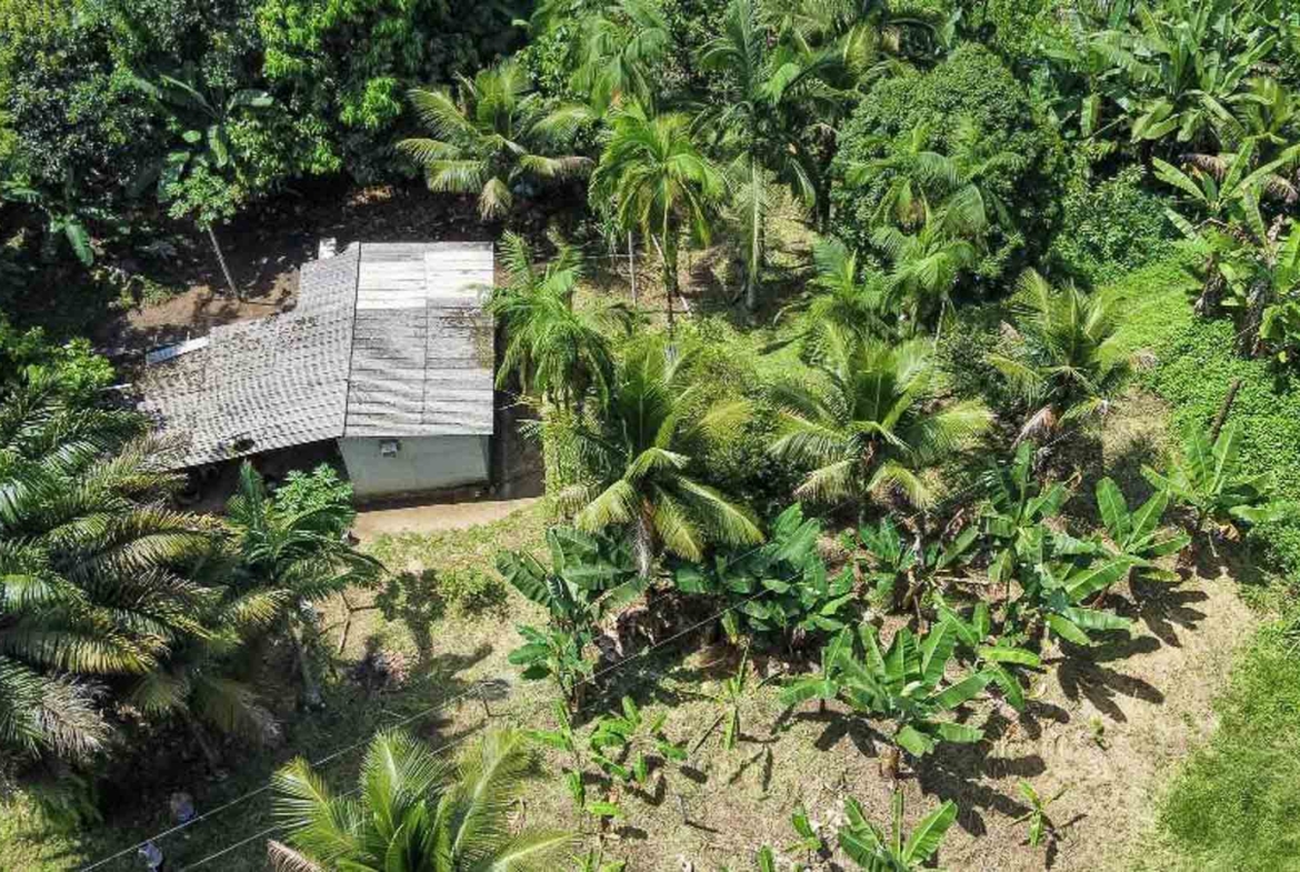 área rural próxima praias paraty