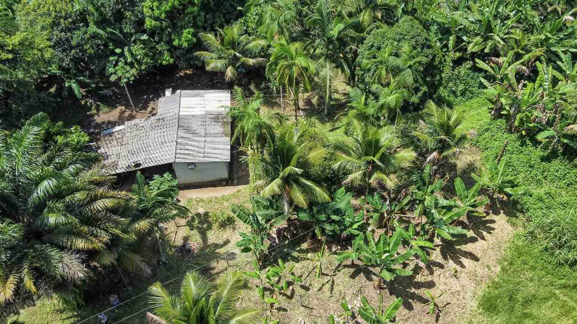 área rural próxima praias paraty