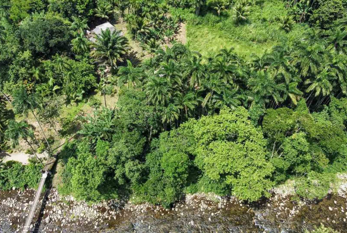 natureza preservada barra grande paraty