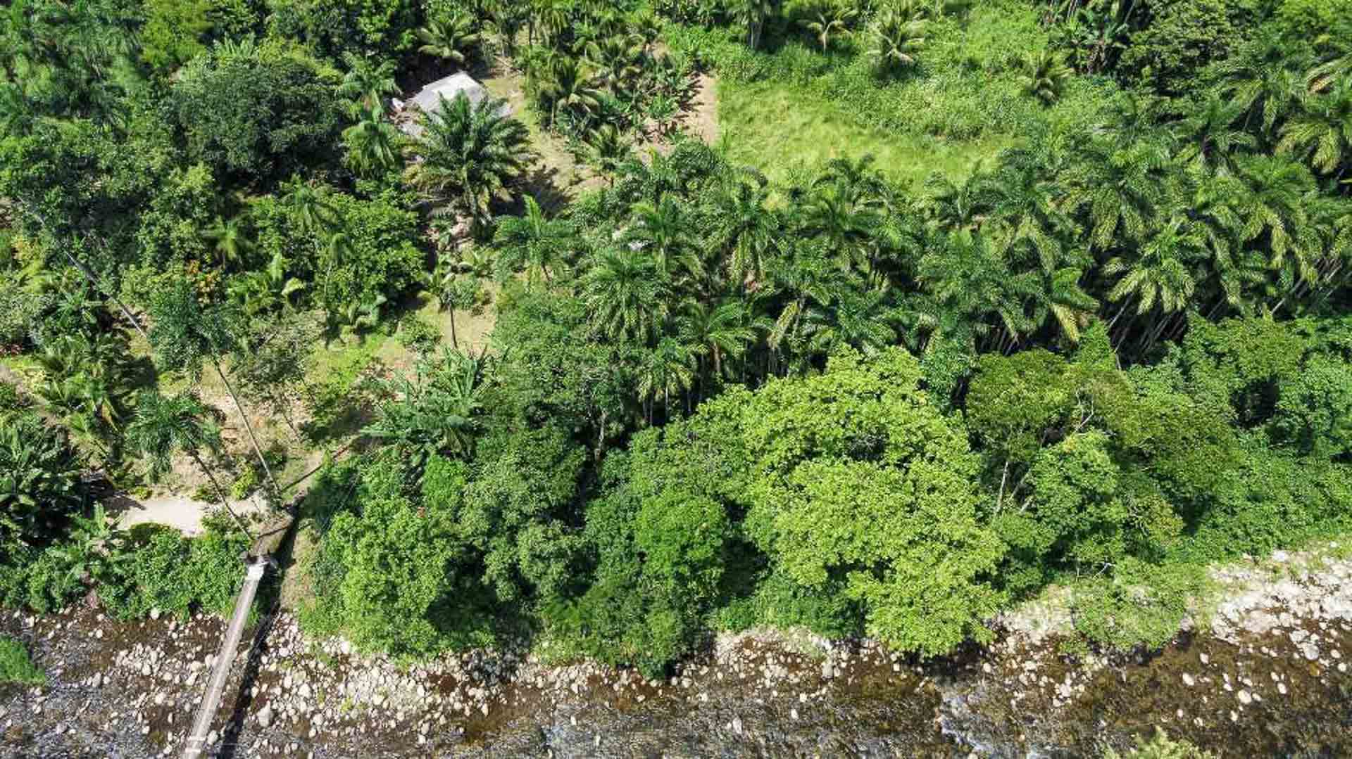 natureza preservada barra grande paraty