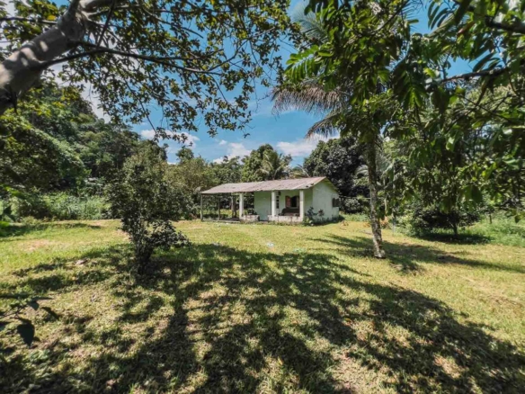 chácara com cachoeira em barra grande paraty
