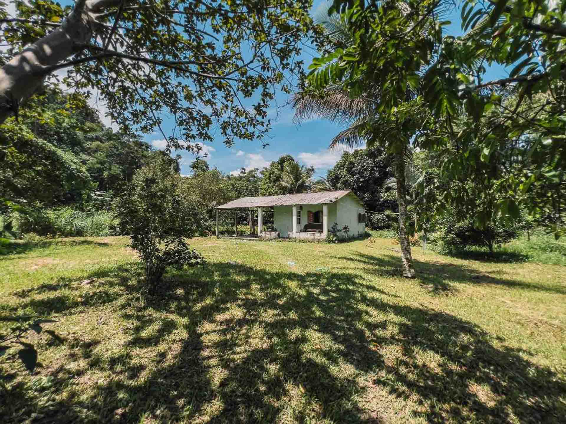 chácara com cachoeira em barra grande paraty